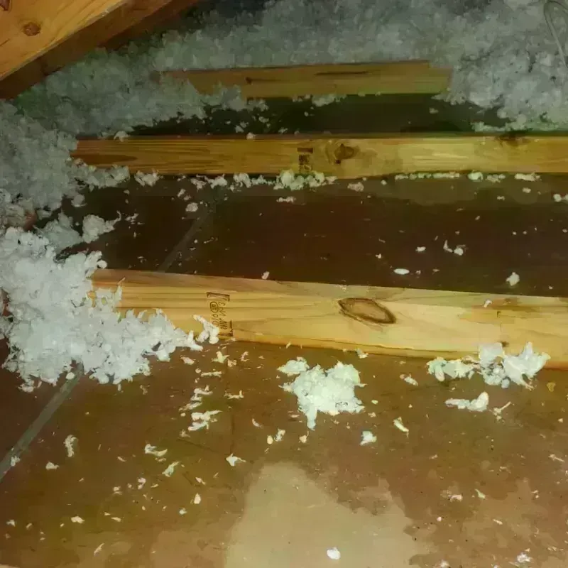 Attic Water Damage in Pope County, MN