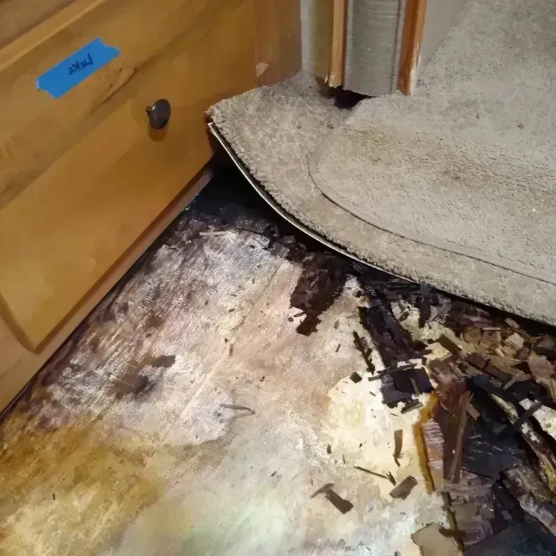 Wood Floor Water Damage in Pope County, MN